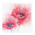 Card Poppies